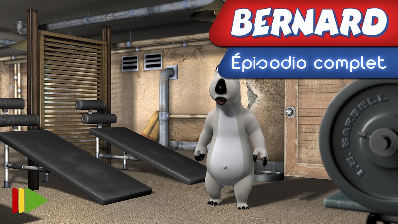 Bernard Bear - 01 - Le gymnase | Épisode complet |