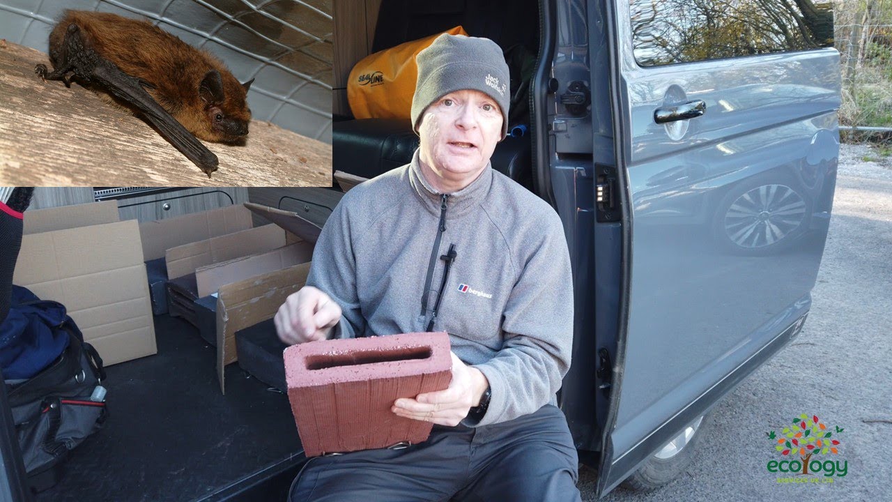 No-nonsense training (to become a better ecologist)