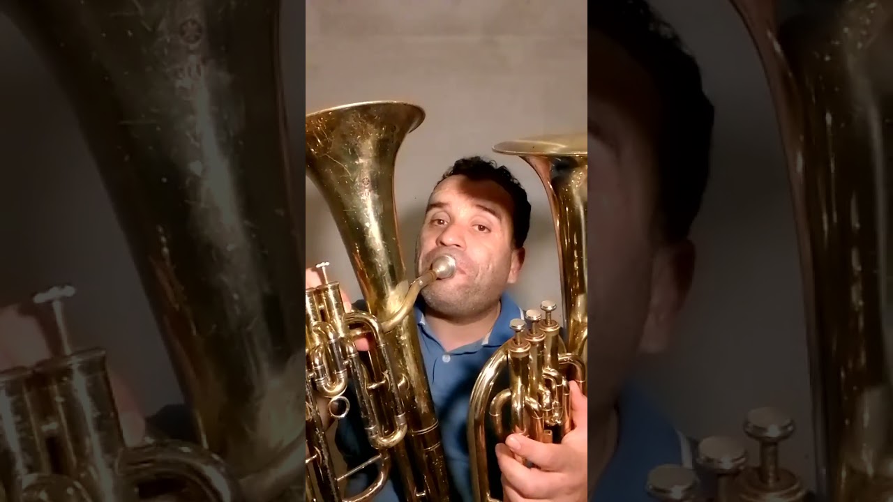 diferencia entre eufonio bombardino y fliscorno