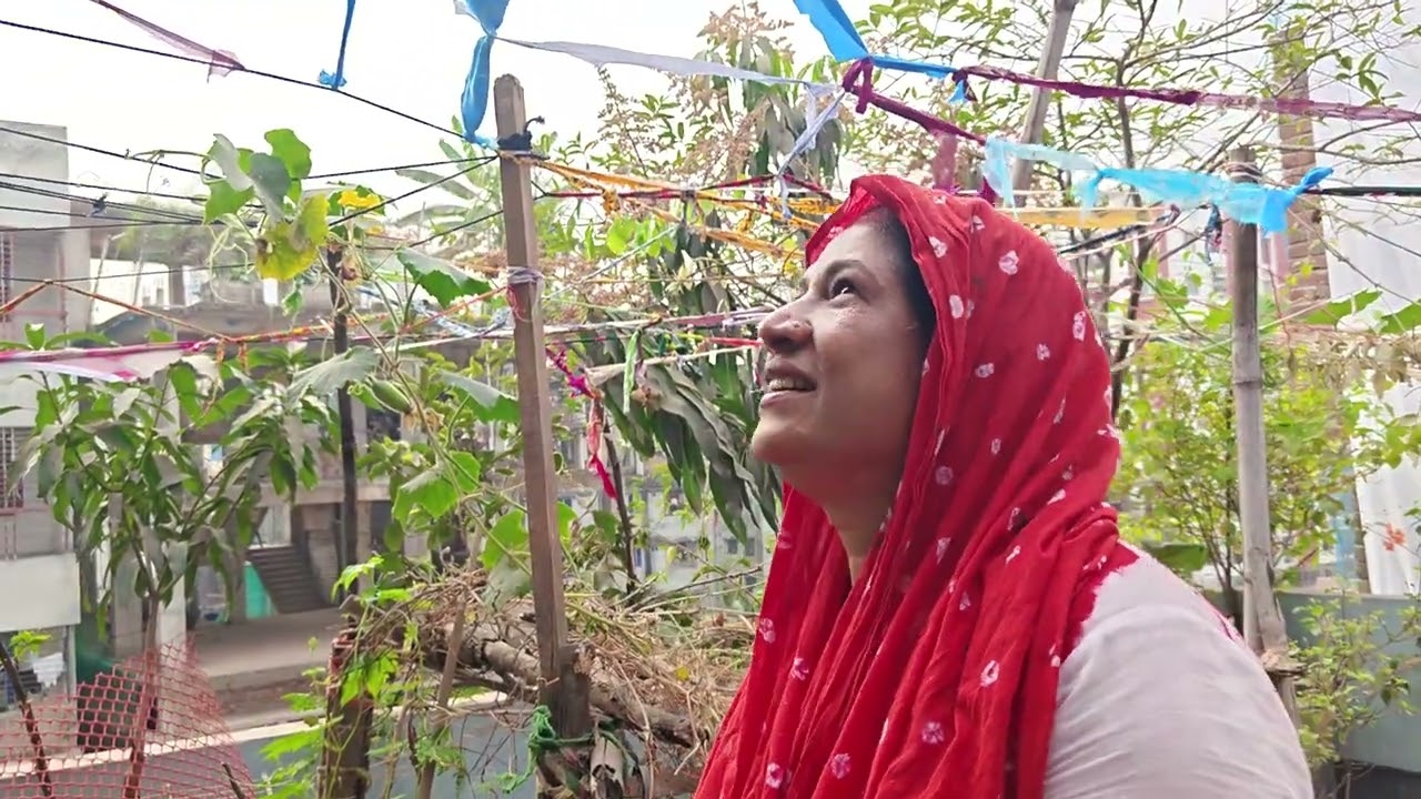না দেখলে সবাই মিস করবেন এত সুন্দর ছাদে মাচা করলাম