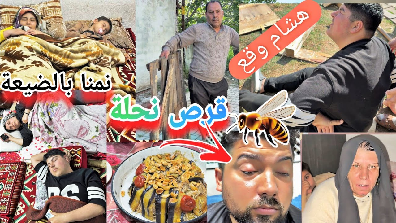أول مرة العيلة كلها نمنا بالضيعة//نحلة قرصت عين عبدو🐝//طبخنا مقلوبة النار🔥هشام وقع