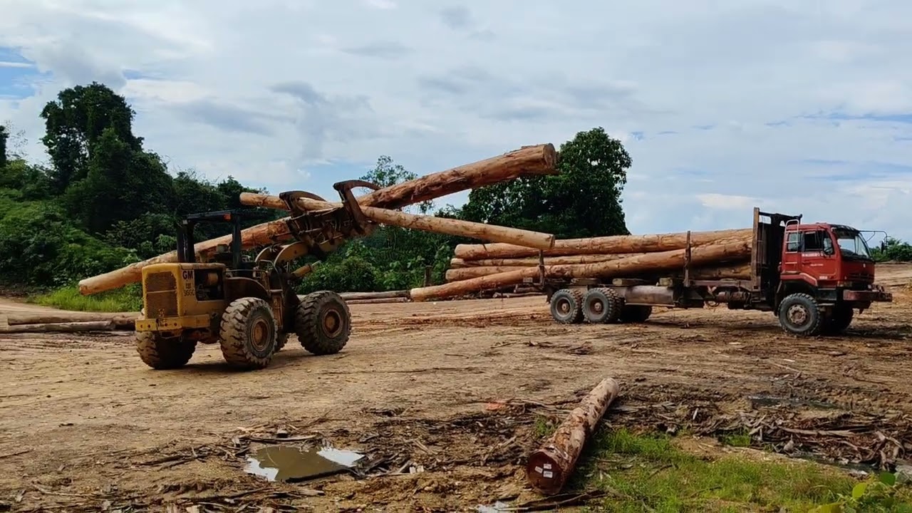 Maut kayu dari block pergi stamping. Kayu boleh tahan besar kawan. Kayu cuma 16 lompong saja👍🙏