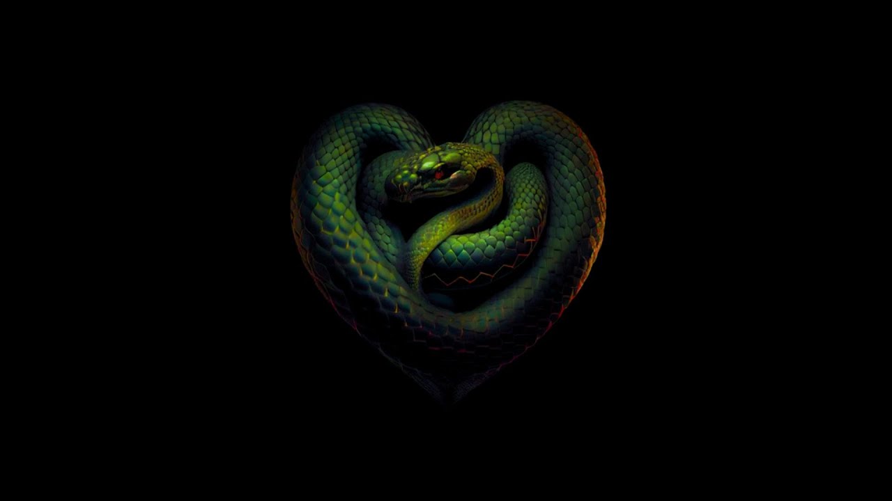 KINGMASTER - не моя (НЕофицеальный альбом 