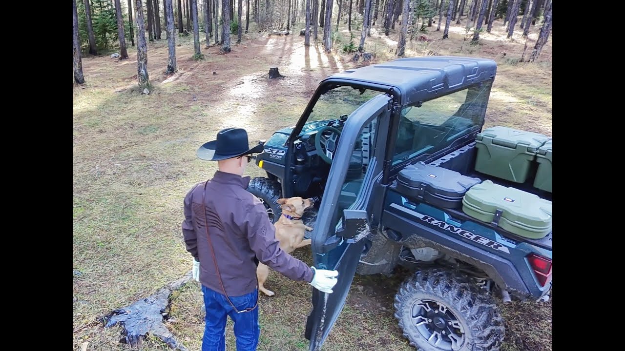 Up Dry Creek with a dog, a Ranger but no Paddle #polaris #ranger