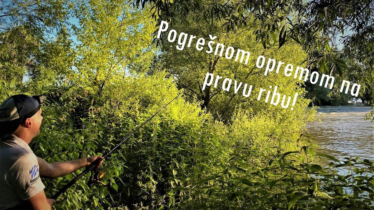 Ko se šunja iza žbunja? - Drugi deo! - Varalicarenje smudja