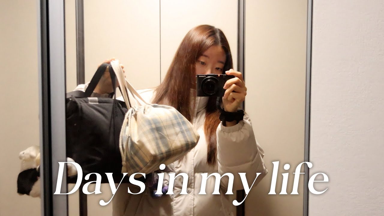 [Vlog] 2026년 목표를 세웠는데 시도는 해봐야지 | 점심 도시락 준비 | 직장인 브이로그