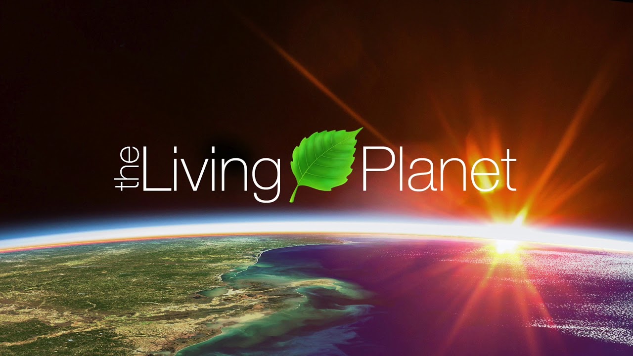 WWF Project