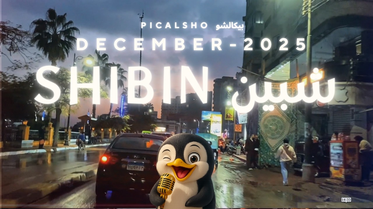 جولة بالسيارة تحت المطر - شبين الكوم - ديسمبر 2025 - مع صوت القارئ محمود البنا وآيات من سورة البقرة