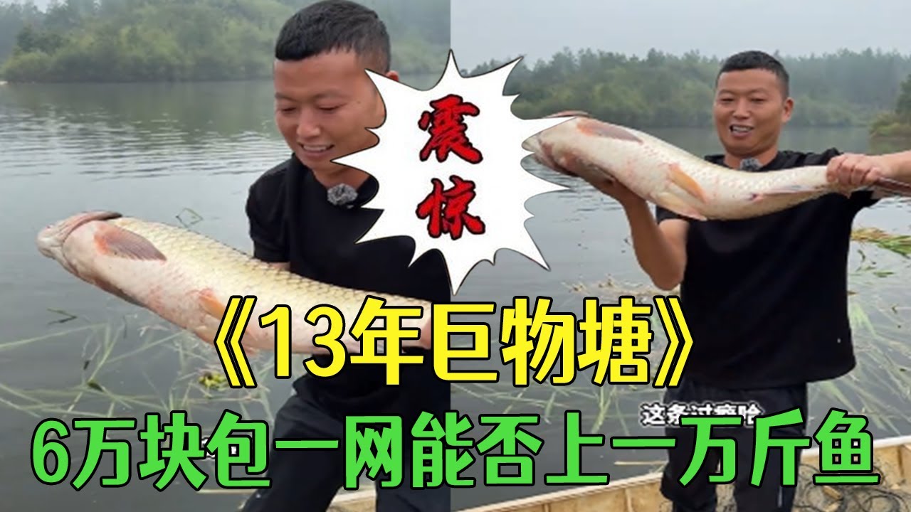 13年巨物塘，花6萬包壹網看看能否上壹萬斤魚？ #小飛哥#護外#農村生活#新農人計劃2026#鄉村守護人
