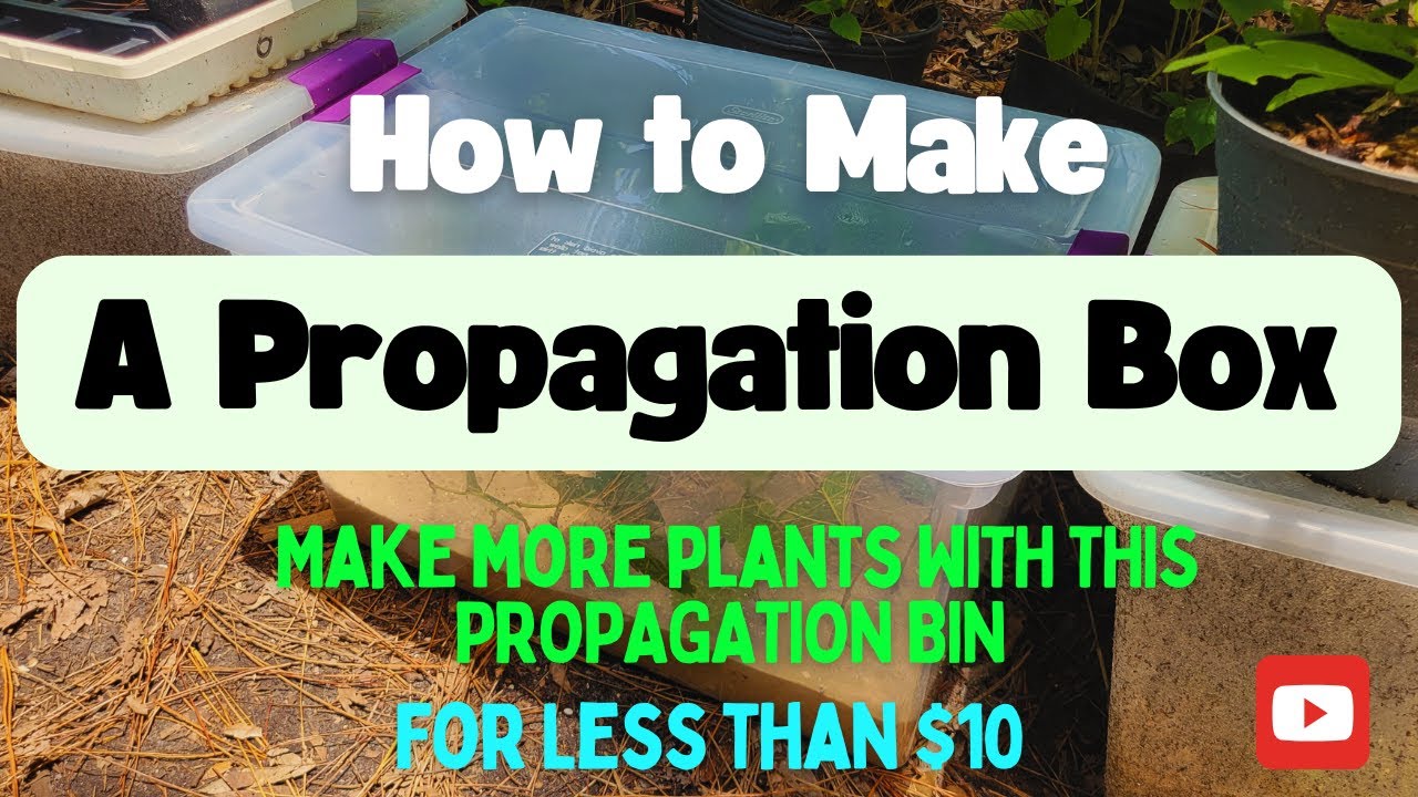 How to Make a Propagation Box - Propagation Tips & Tricks