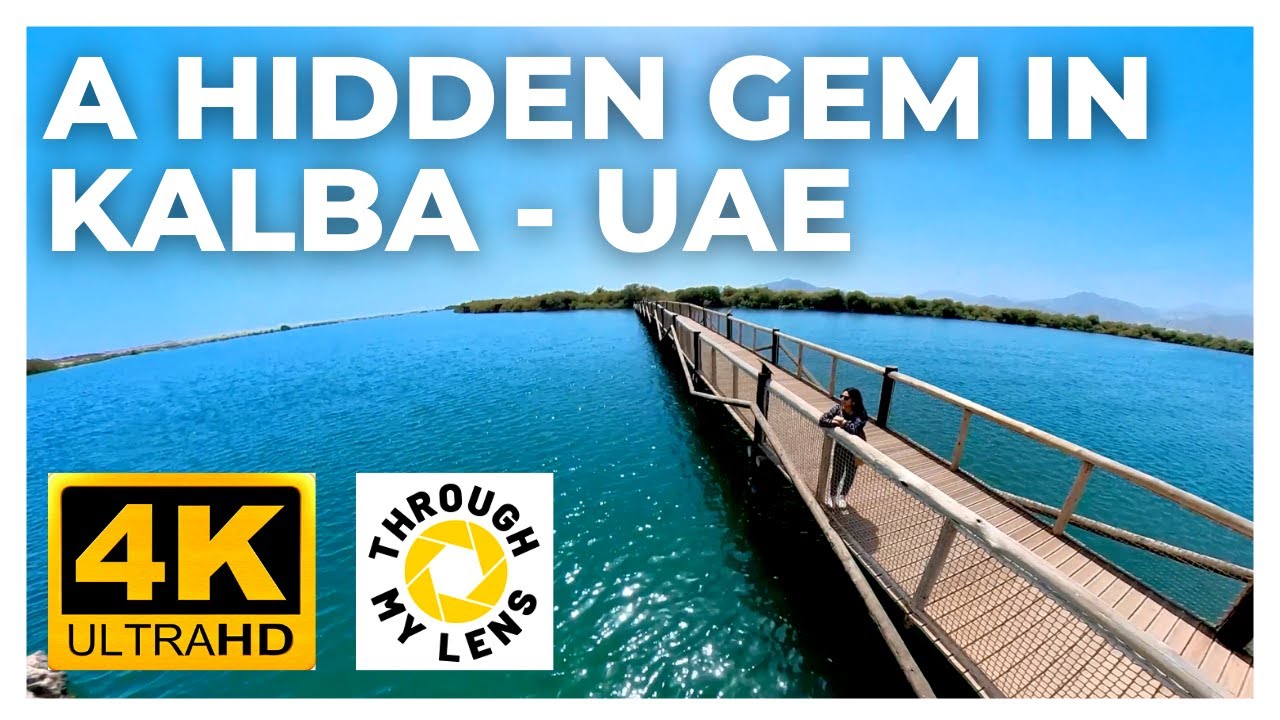 INSIDE KHOR KALBA MANGROVE CENTRE | KALBA | SHARJAH | UAE | 4K UHD | WEEKEND DESTINATION TO NATURE