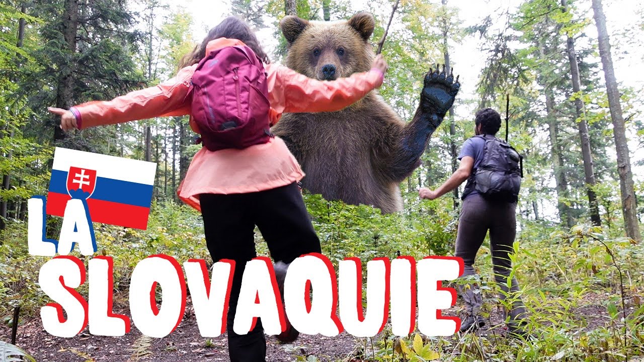 Comment réagir face à un ours 🐻 ? VOYAGE EN SLOVAQUIE (feat. le tube de l'année)