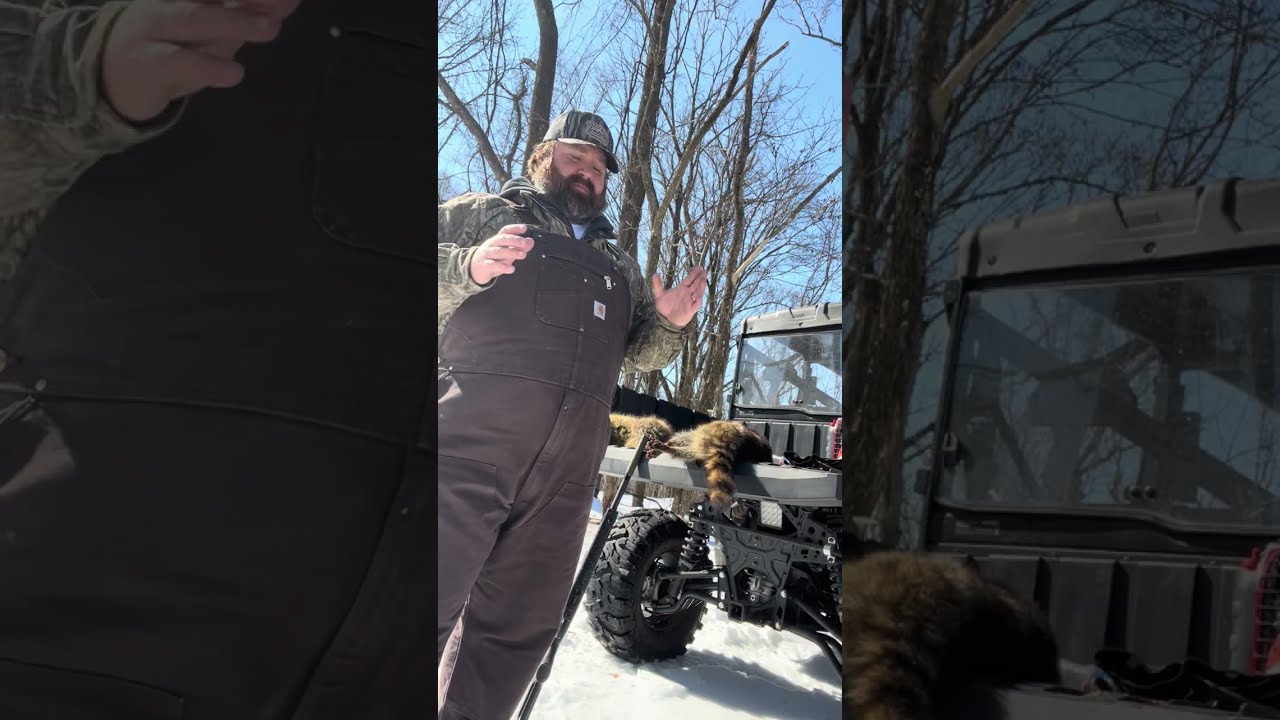 Trapping nest predators in preparation for turkey season