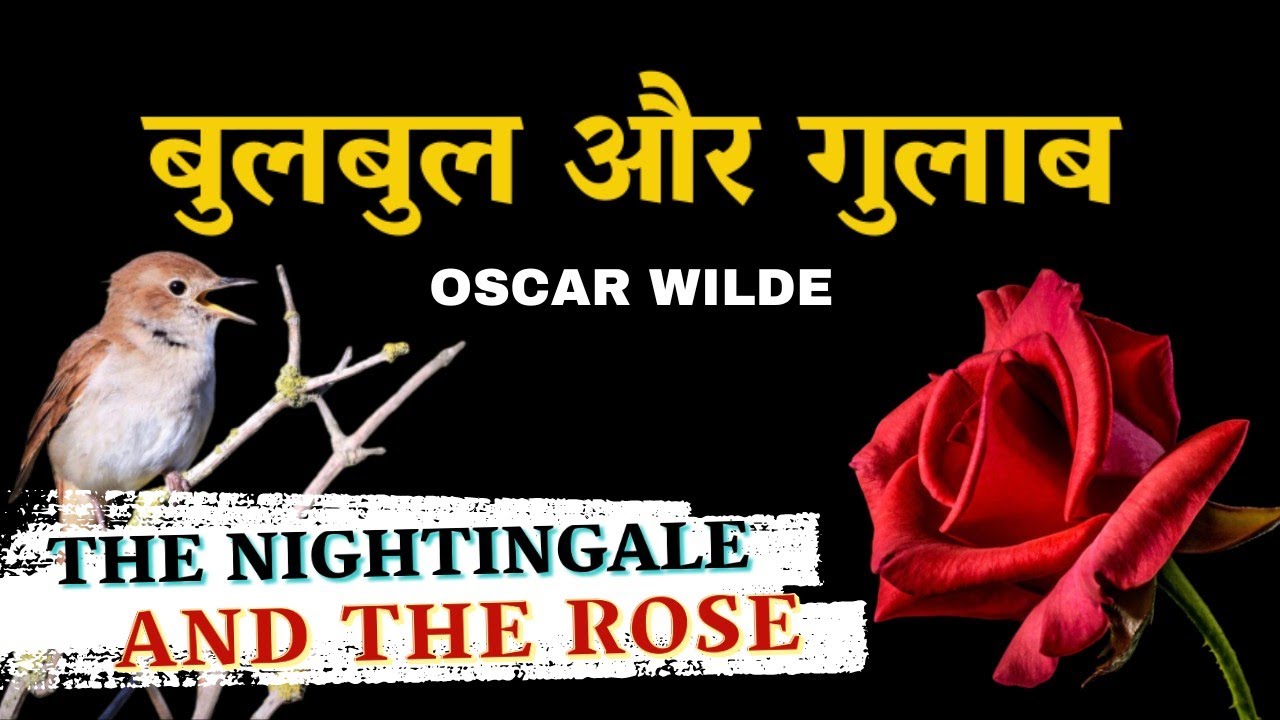 The Nightingale And The Rose in Hindi  @Readable1