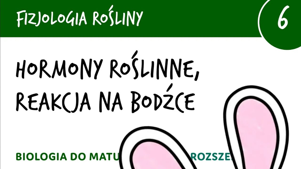 Fizjologia roślin 6 🌱 Hormony roślinne, ruch roślin (reakcja na bodźce) - matura z biologii