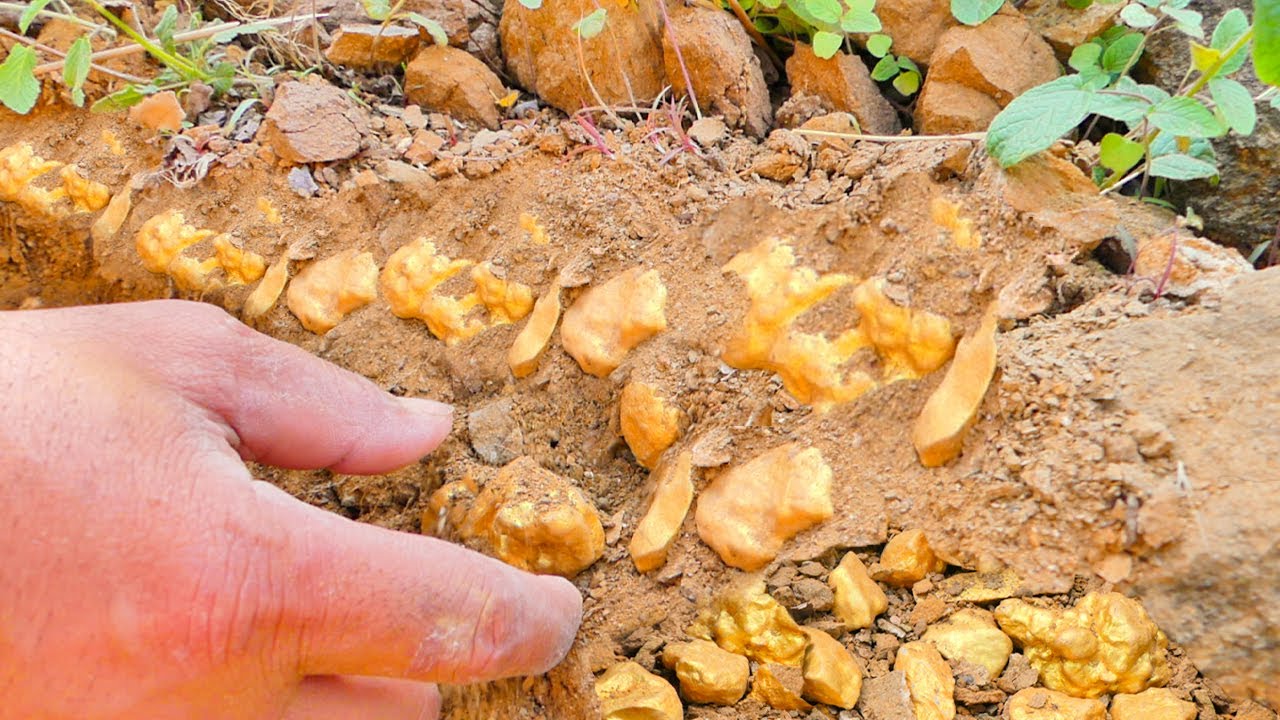 Hidden Treasure Revealed: Massive Natural Gold Nuggets