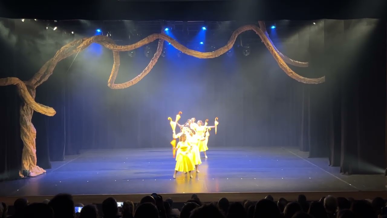 Amor Musical coreografia Denise Cancaro Espetáculo Âmbar 