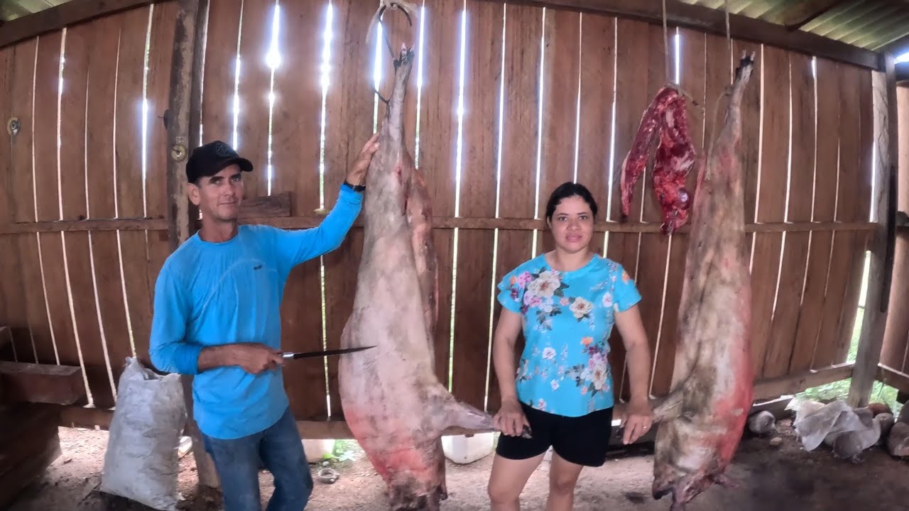 LEVANTAMOS ÇEDO E TRATAMOS DAS DAS GALINHA E PREPARAMOS A CARNE DO PORCU 1