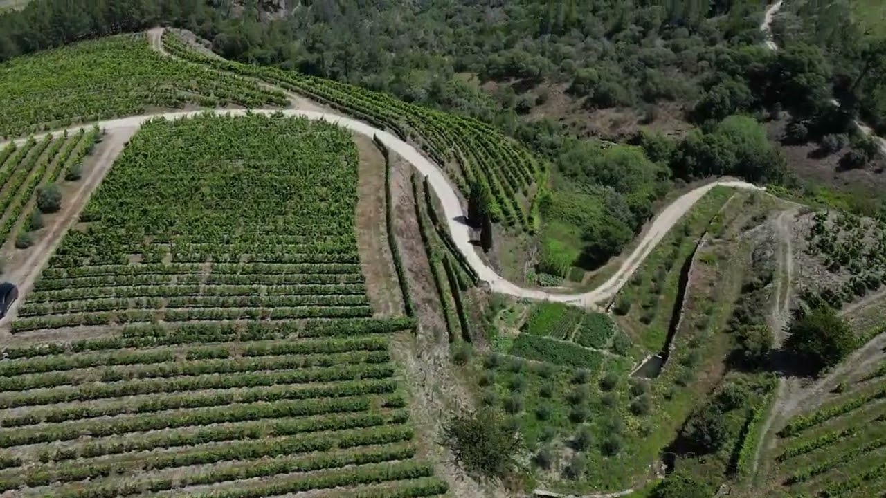 Quinta vinícola, para venda, em Adorigo, Alto Douro Vinhateiro (LS04791)