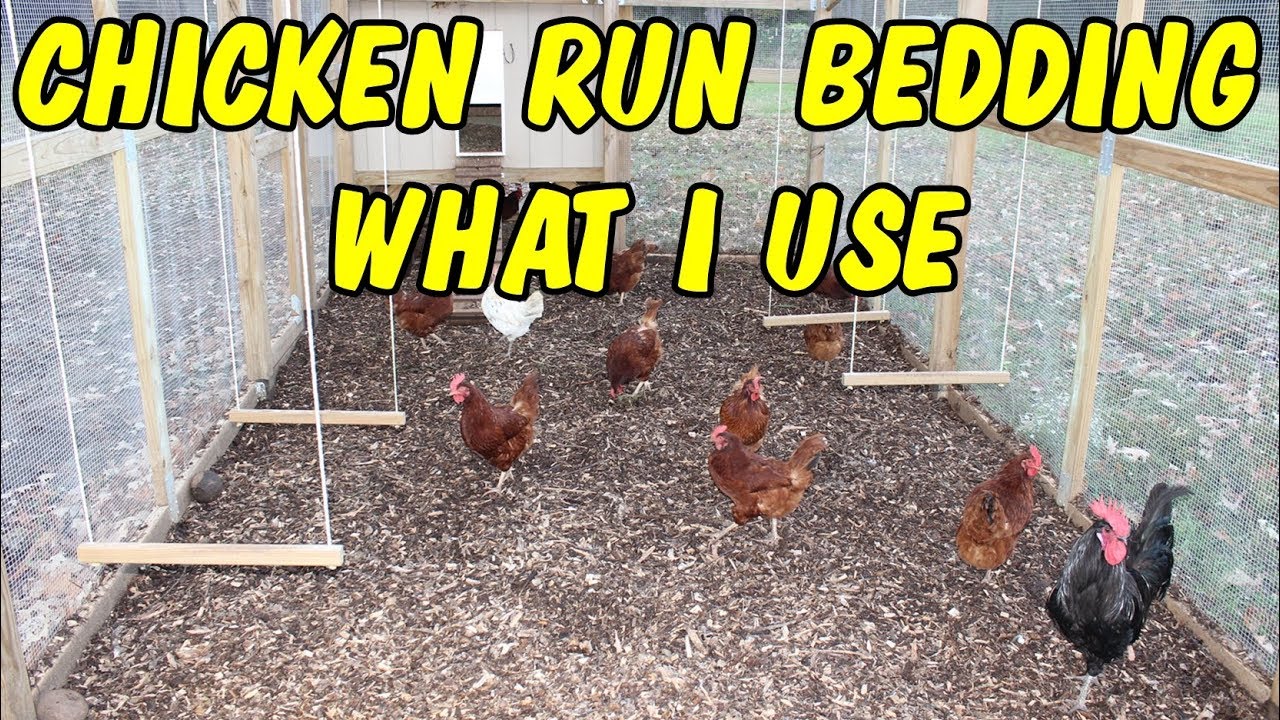Chicken run bedding - What I use