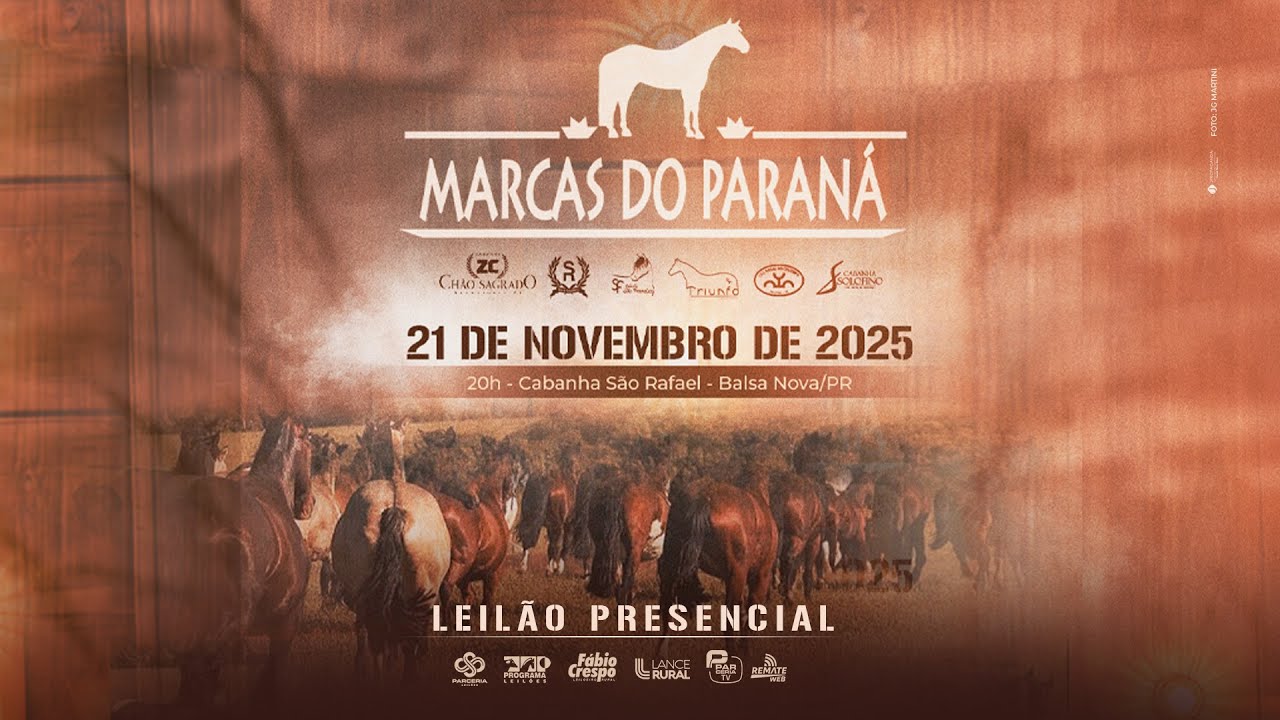 LEIL&Atilde;O MARCAS DO PARAN&Aacute;