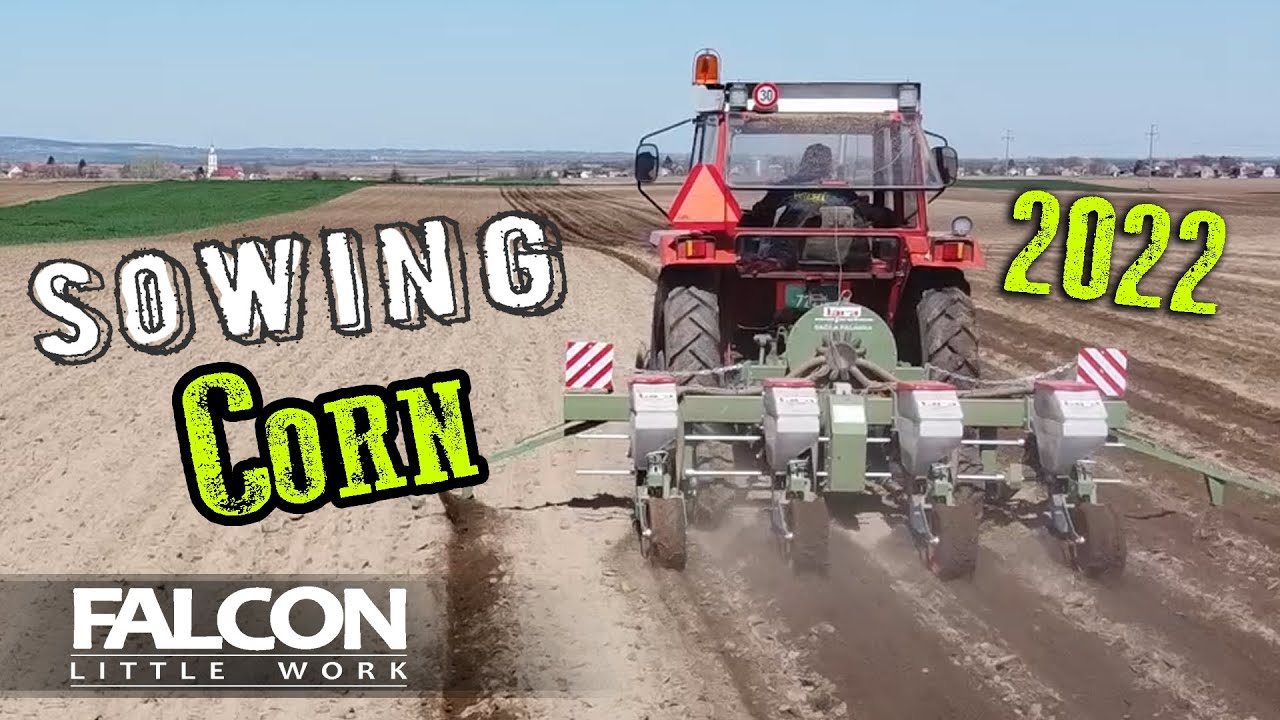 Sowing - DKC5830 | DEKALB - LARA | Majevica - IMT 577 a.k.a. God the Father