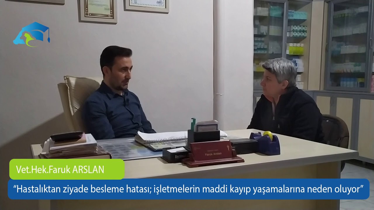 Doğru Besleme İle İthal Hayvan Sayısı Azalır