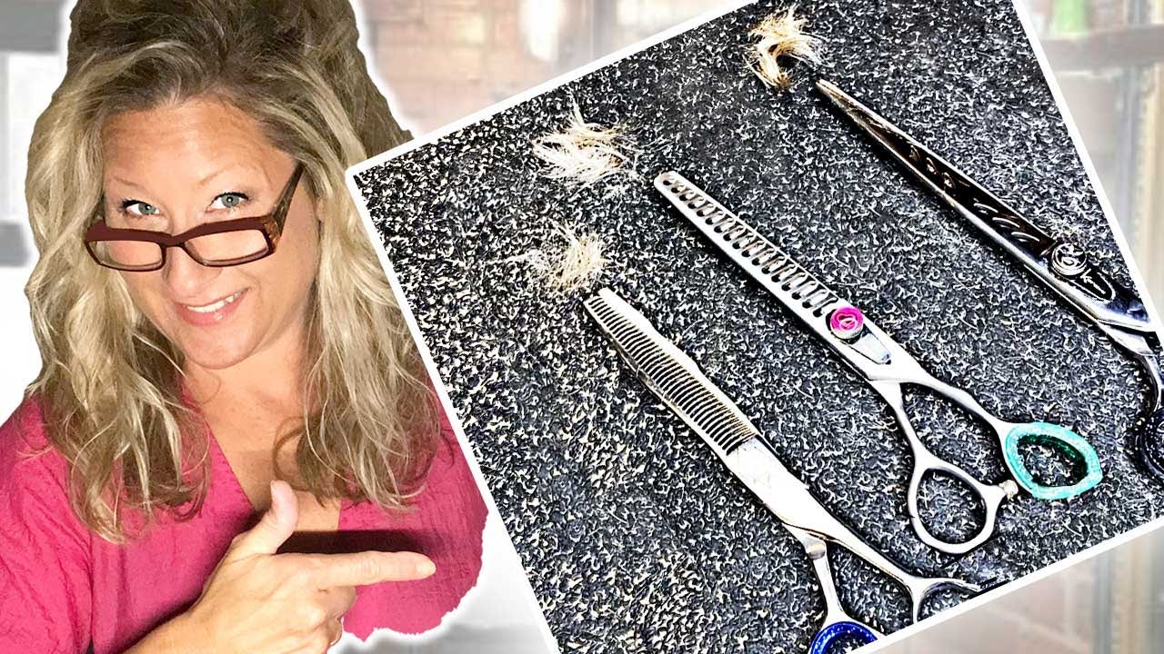 Should You Use CHUNKER or BLENDING SHEARS to GROOM your DOG?