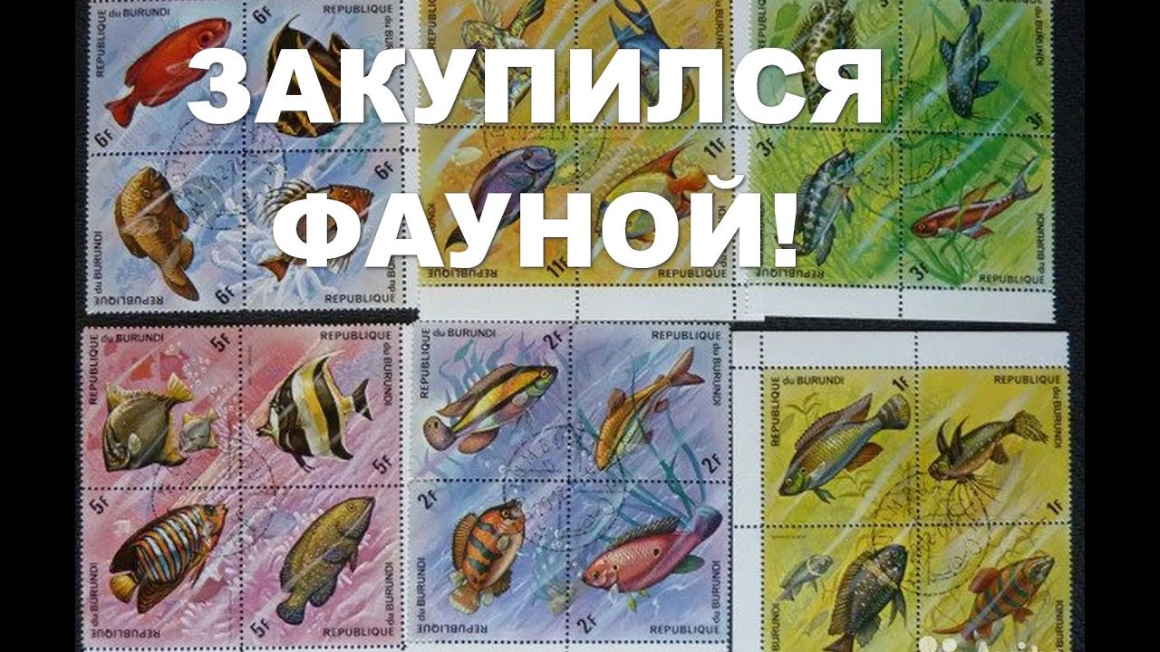 Распаковка марок (фауна)