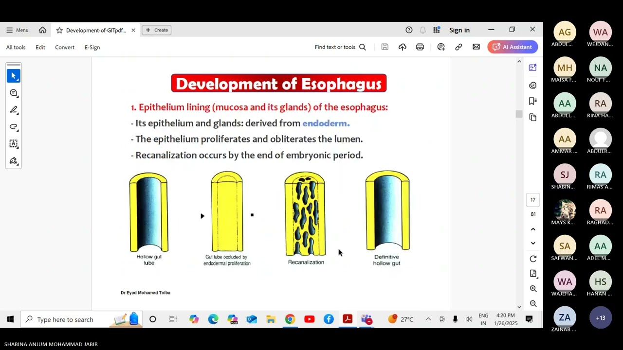 Development of the GIT