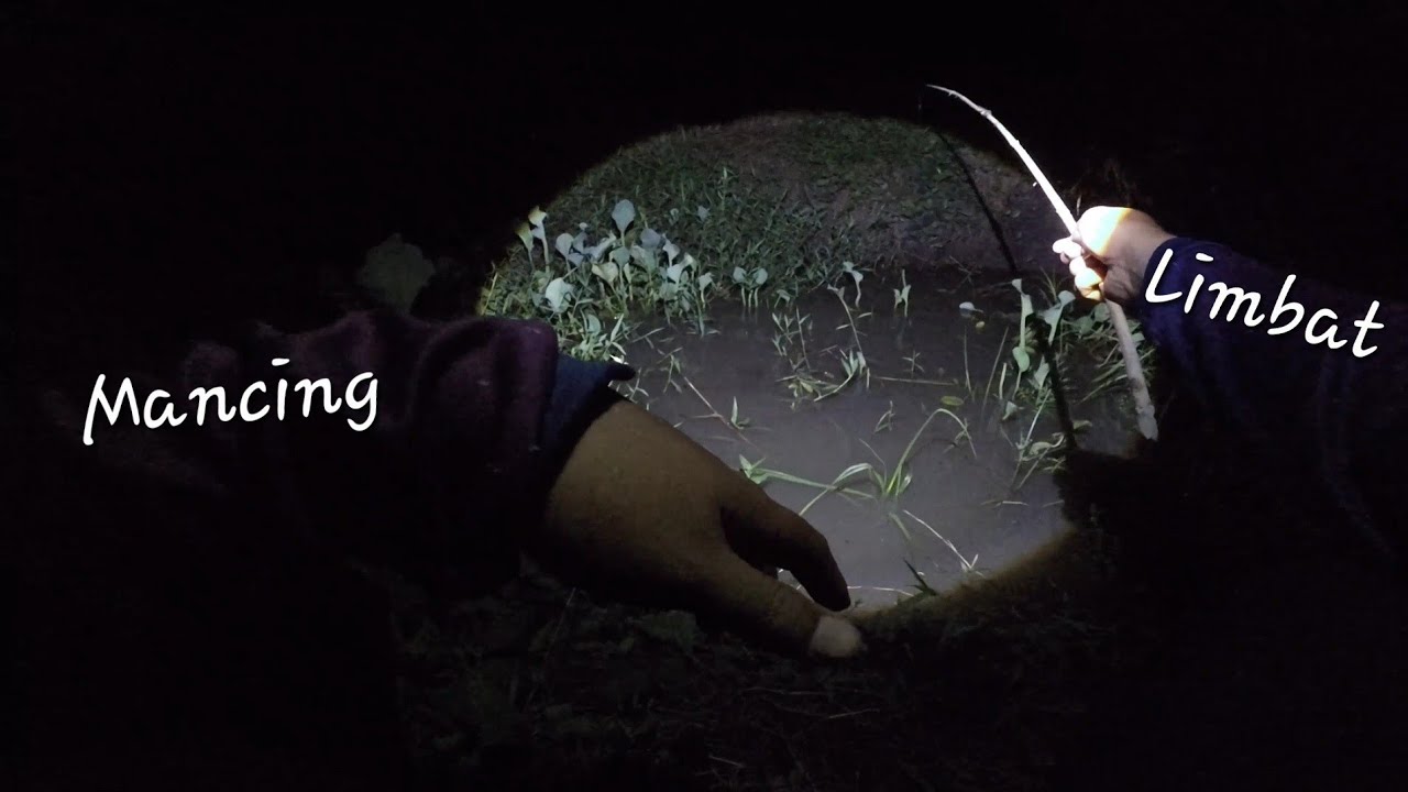 Mancing Lembat Malah Dapat Predator