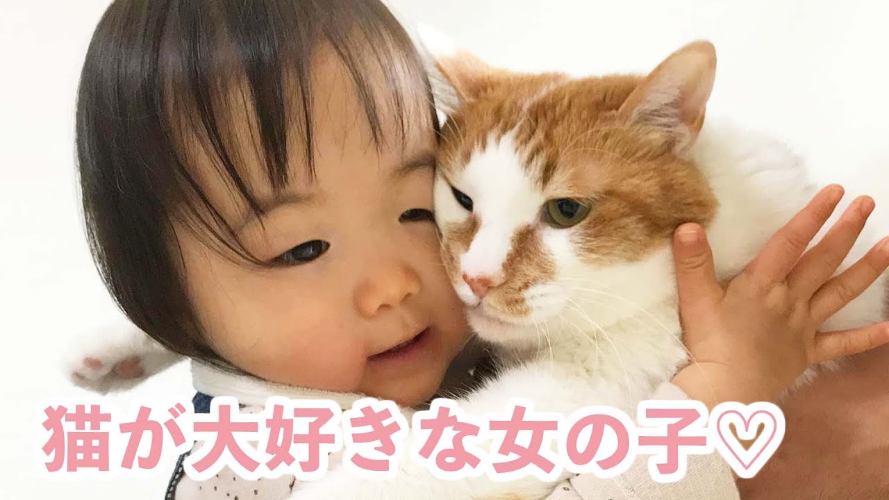 お家の可愛い猫使い♡ 女の子が猫と一緒に暮らして成長すると…