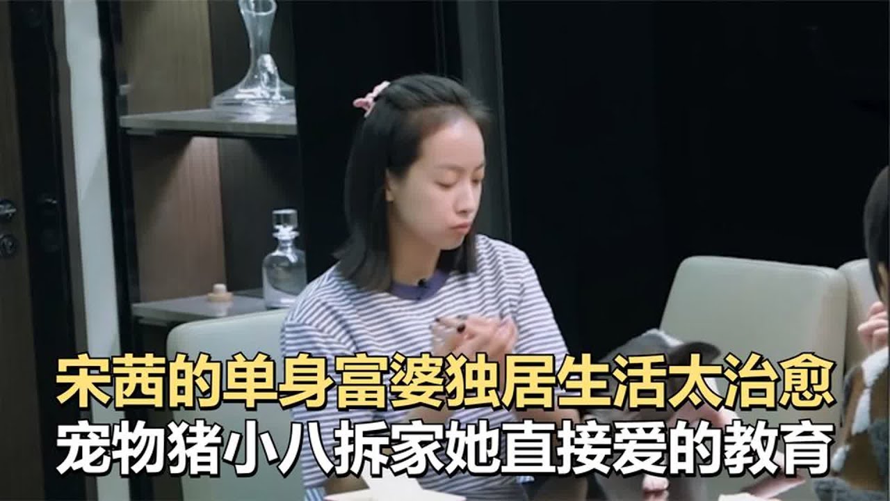 宋茜的单身富婆生活太治愈，就算宠物猪小八拆家，她也依然超爱