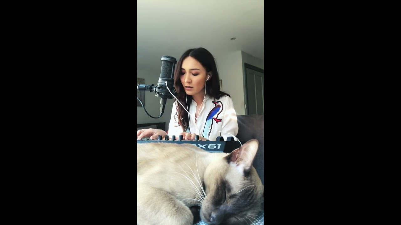 Assem -  Прошлой ночью