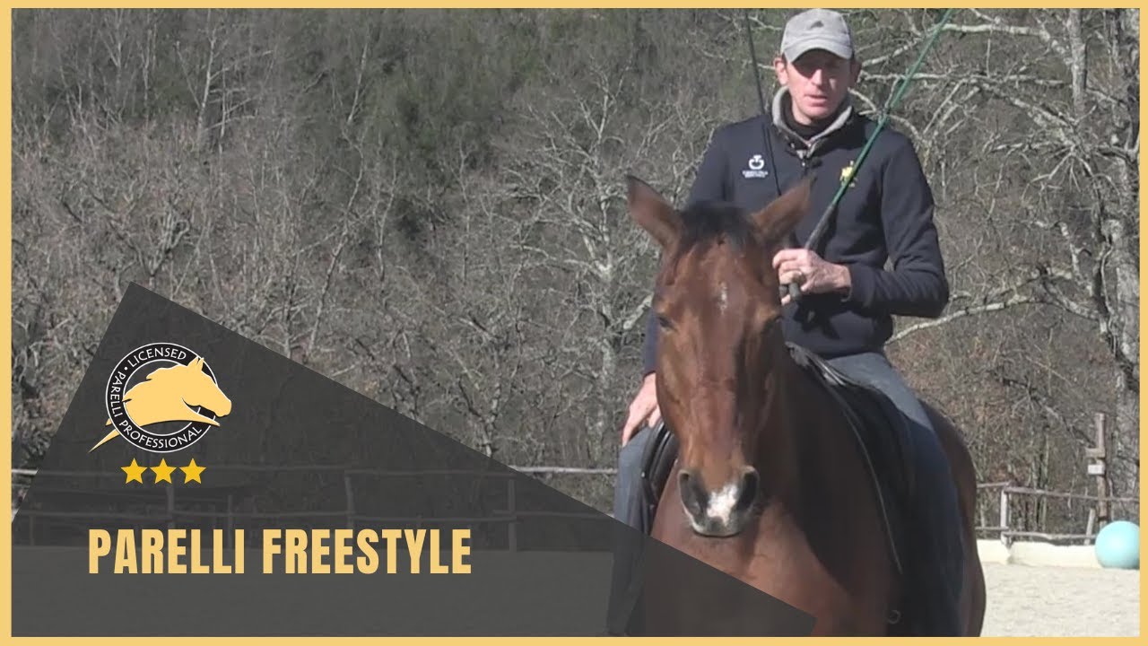Freestyle Parelli: che cos'è e a cosa serve