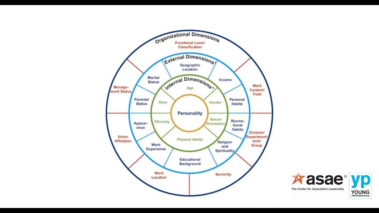 Diversity and Inclusion - Understanding the Dimensions of Diversity