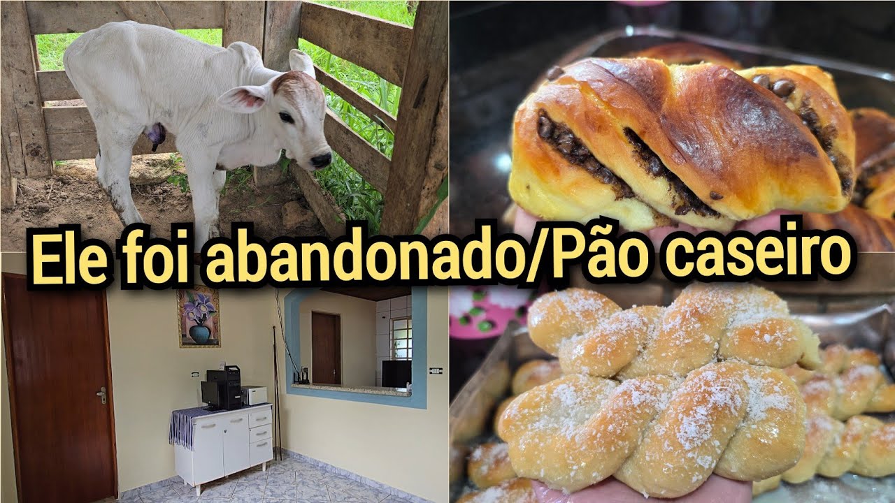 TIVEMOS QUE DAR UM JEITO!TRANÇA DE CHOCOLATE E COCO/TERMINEI A PINTURA/ROTINA DA ROÇA. 