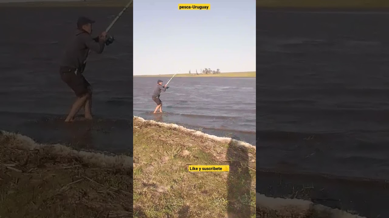 Pesca De Tarucha de Fondo #fishing #pesca #fish