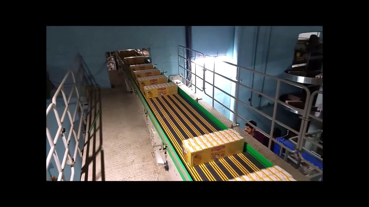 End of Line Packaging Automation - Multi-line Robotic Palletizer with Pallet Conveyor System