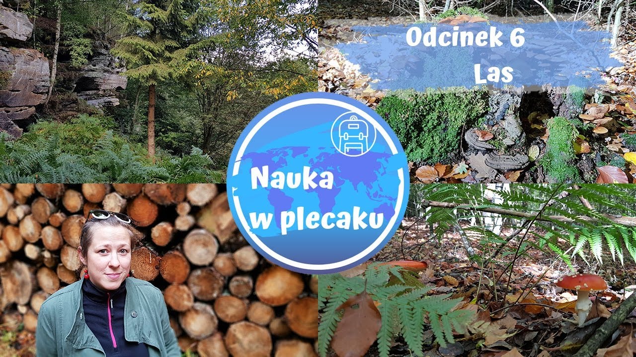 Las i jego warstwy - Luksemburg