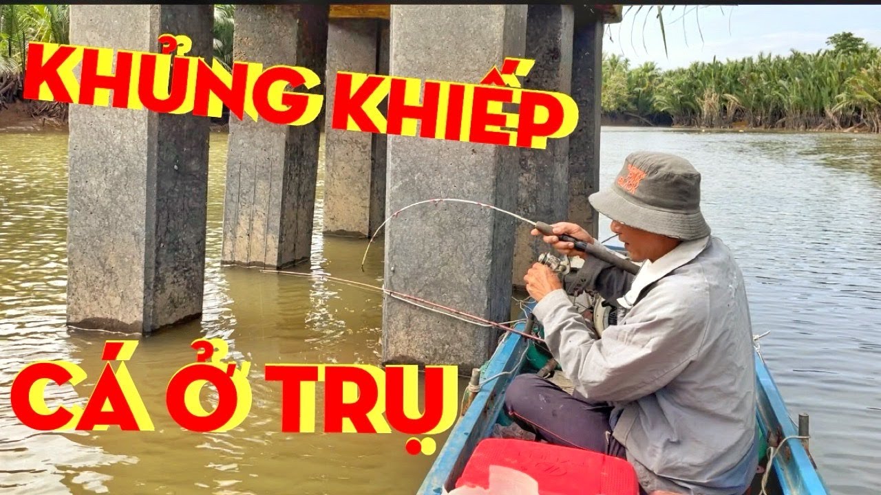 Khủng Khiếp Bầy Cá Dưới Trụ Cầu - Quăng Mồi Xuống Cá Đớp Ngay - Nhanh Như Câu Trong Hồ Cá Nuôi
