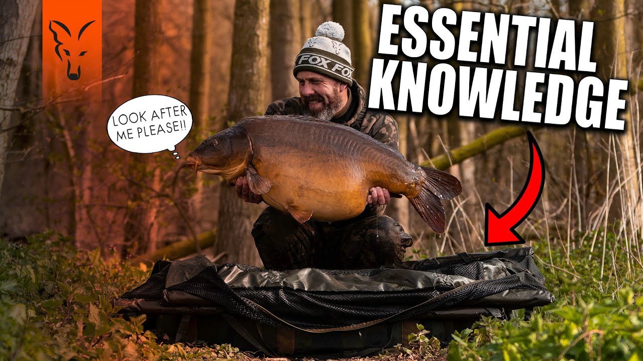 Carp Care Guide - Essential Knowledge for all Anglers