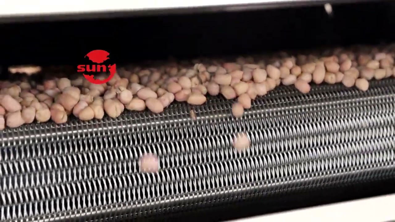 Roasting Soaked Salted Peanuts Roasting Machine +86 156 2421 6398