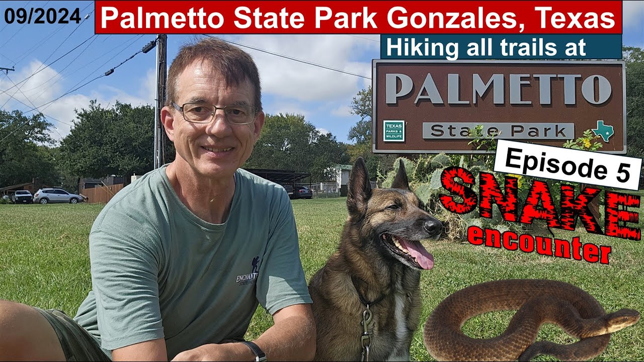 Palmetto State Park, Gonzales Texas. Highly venomous Snake encounter. Episode 5-2024.