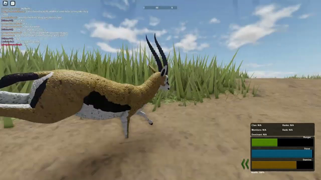 Wild Savanna - Built to run