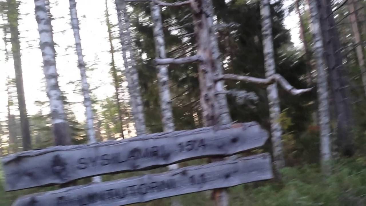 Valvatti autiotupa