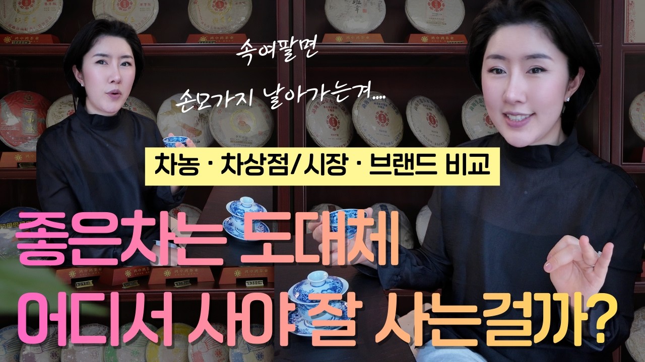 차는 어디서 사야할까? 4가지 차 구매 루트