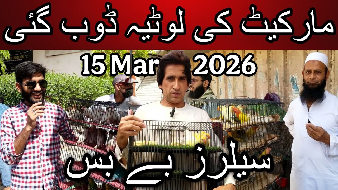 Lalukhet  birds market 15 March 2026 | Cheapest price birds market in Karachi Pakistan