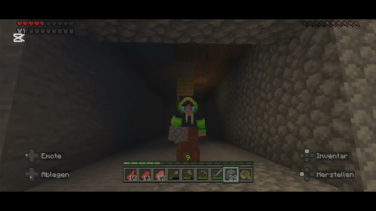 Minecraft Katze ￼Folge 6 wir bauen den Keller ￼￼
