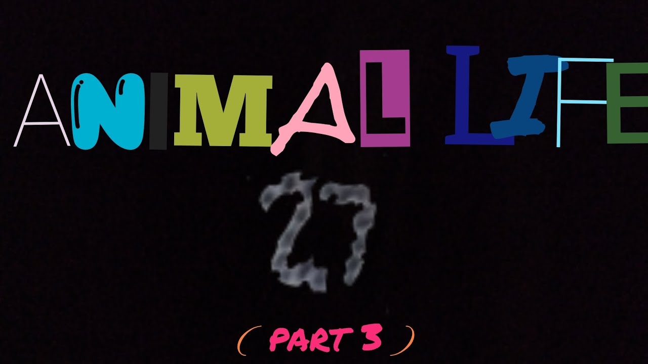 №27 Риби 🐠